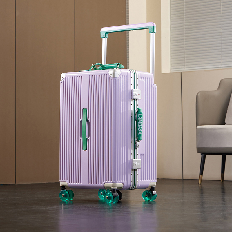 Spinner Wheel Rolling Suitcase 20 Inch - Reiskoffer met brede handgreep, aluminium frame,